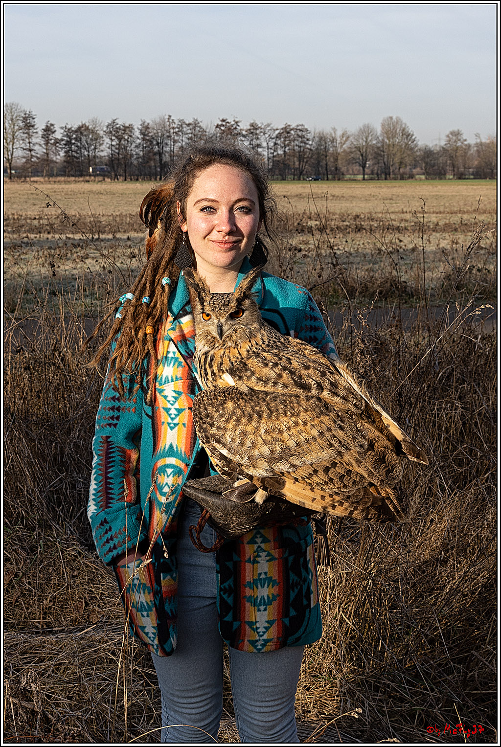 Cheyenne-Halbblut Hunting Wolf in der Falknerei Pierre Schmidt; Gymnich, 09.02.2023